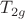 $T_{2g}$