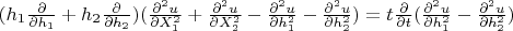 $ (h_1\frac{\partial}{\partial h_1}+ h_2\frac{\partial}{\partial
h_2})(\frac{\partial^2 u}{\partial X_1^2}+\frac{\partial^2
u}{\partial X_2^2}-\frac{\partial^2 u}{\partial
h_1^2}-\frac{\partial^2 u}{\partial h_2^2})=t\frac{\partial
}{\partial t}(\frac{\partial^2 u}{\partial h_1^2}-\frac{\partial^2
u}{\partial h_2^2}) $