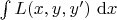 $\int L(x, y, y') \ \mathrm dx$
