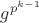 $g^{p^{k-1}}$