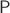 $\mathsf P$