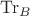 $\operatorname{Tr}_B$