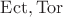 $\operatorname{Ect}, \operatorname{Tor}$