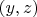 $(y, z)$
