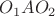 $O_1AO_2$