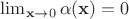 $\lim _{\mathbf{x} \to 0}\alpha(\mathbf{x}) = 0$