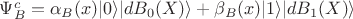 $\Psi_{B}^{c} = \alpha_{B}(x)\vert 0 \rangle\vert dB_{0}(X)\rangle  + \beta_{B}(x) \vert 1\rangle \vert dB_{1}(X)\rangle $
