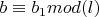 $b\equiv b_1 mod (l)$