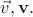 $\vec{v},\mathbf{v}.$