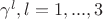 $\gamma^l,l=1,...,3$