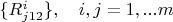 $\{R^i_{j12}\},\quad i,j=1,...m$