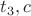 $ {t}_3,c $