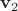 ${\bf v}_2$