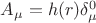 $A_{\mu}=h(r)\delta^0_\mu$