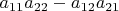 $a_{11}a_{22}-a_{12}a_{21}$
