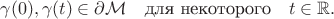 $$\gamma(0), \gamma(t) \in \partial\mathcal{M} \quad \text{для некоторого} \quad t\in\mathbb{R}.$$
