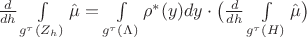 $\frac{{d}}{{d} h} \int\limits_{g^{\tau} (Z_h)} \hat \mu = \int\limits_{g^{\tau}(\Lambda)} \rho^*(y) {d} y \cdot \big ( \frac{{d}}{{d} h} \int\limits_{g^{\tau} (H)} \hat \mu \big )$