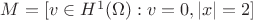 $M=[v\in H^1(\Omega):v=0,|x|=2]$