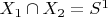 $X_1 \cap X_2 = S^1$