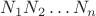 $N_1N_2 \dots N_n$