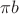 $\pi b$