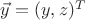 $\vec y=(y, z)^T$