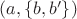 $(a,\{b,b'\})$