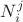 $N^j_i$
