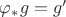 $\varphi_*g=g'$