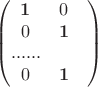 $$\begin{pmatrix} \bold 1 & 0\\ 0 & \bold 1\\ ......\\ 0 & \bold 1 & \end{pmatrix}$$