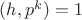 $(h,p^k)=1$