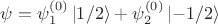 $\psi=\psi_1^{(0)}\left\lvert1/2\right\rangle+\psi_2^{(0)}\left\lvert-1/2\right\rangle$