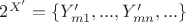 $2^{X'}=\{Y_{m1}',...,Y_{mn}',...\}$