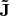 $\bf{\tilde J}$