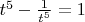 $t^5-\frac 1{t^5}=1$