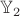 $\mathbb{Y}_2$