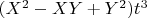 $(X^2  - XY + Y^2 )t^3$