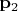 $\mathbf{p}_{2}$