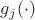 $g_j(\cdot)$ $g_j(\cdot)$