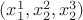 $(x^1_1,x^2_2,x^3_2)$