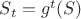 $S_t = g^t (S)$