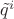 $\tilde q^i$