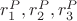 $r_1^P,r_2^P,  r_3^P$