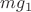 $mg_1$