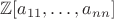 $\mathbb Z [a_{11},\ldots,a_{nn}]$