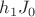 $h_1J_0$