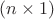 $(n \times 1)$