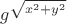$g^{\sqrt{x^2 + y^2}}$