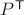 $P^\mathsf T$