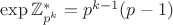$\exp \mathbb Z_{p^k}^*=p^{k-1}(p-1)$